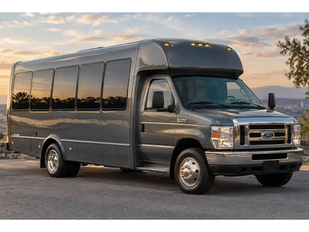 20 Passenger Luxury Party Bus - Bay Area